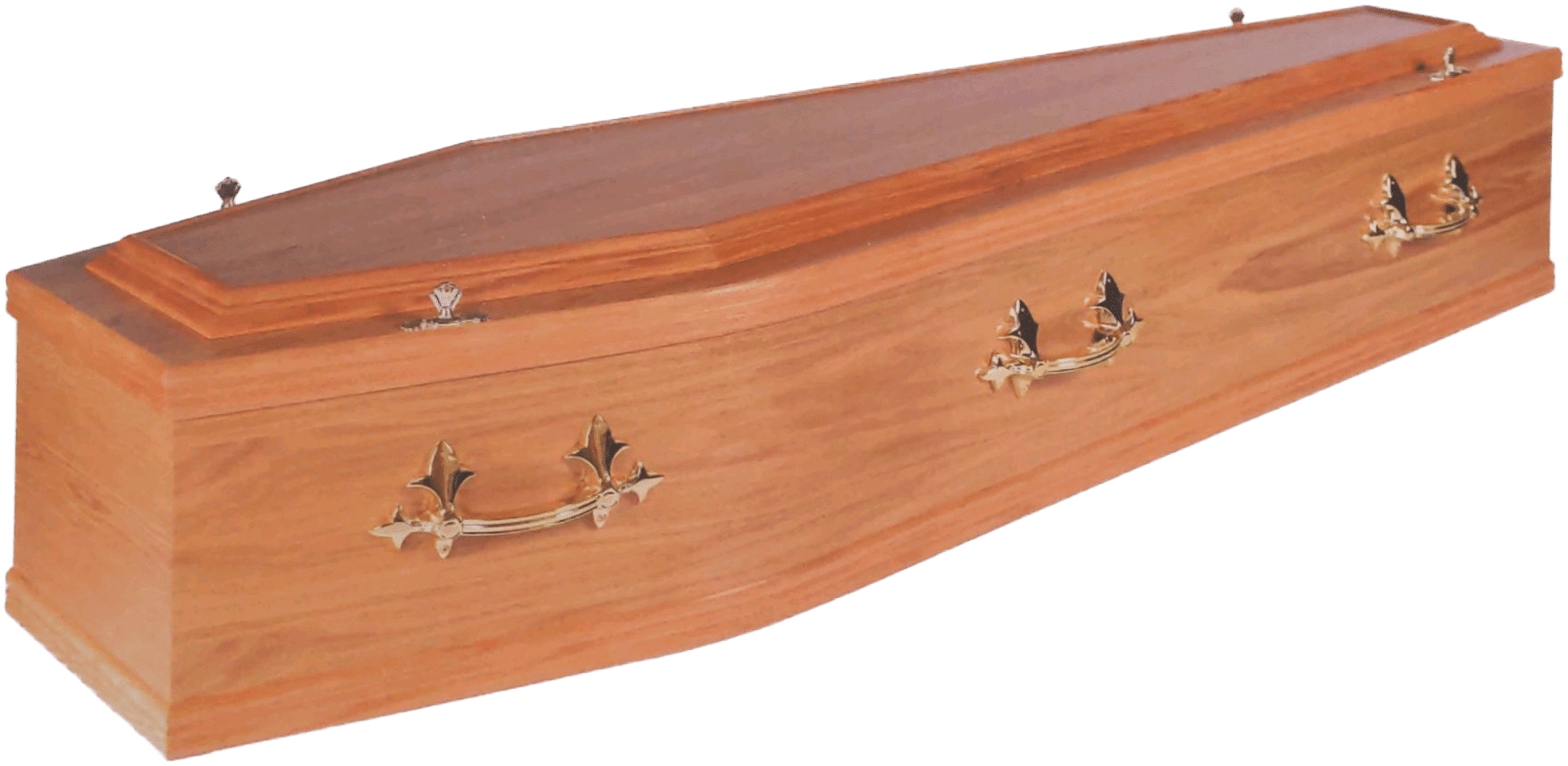 Alba Repatriations light oak raised lid coffin