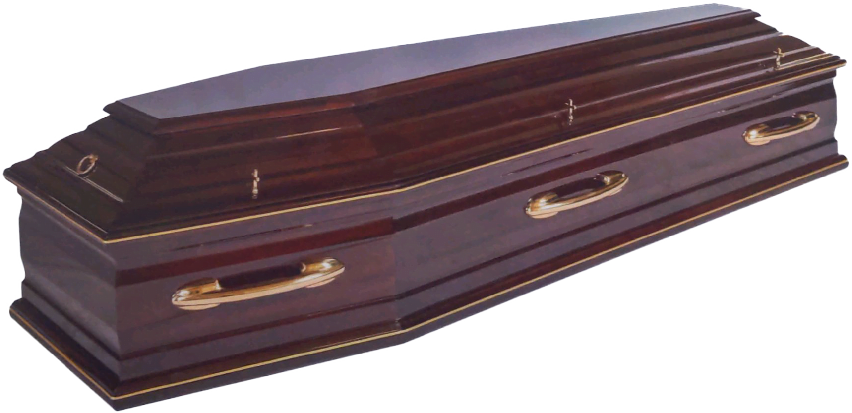 Alba Repatriations merrion coffin